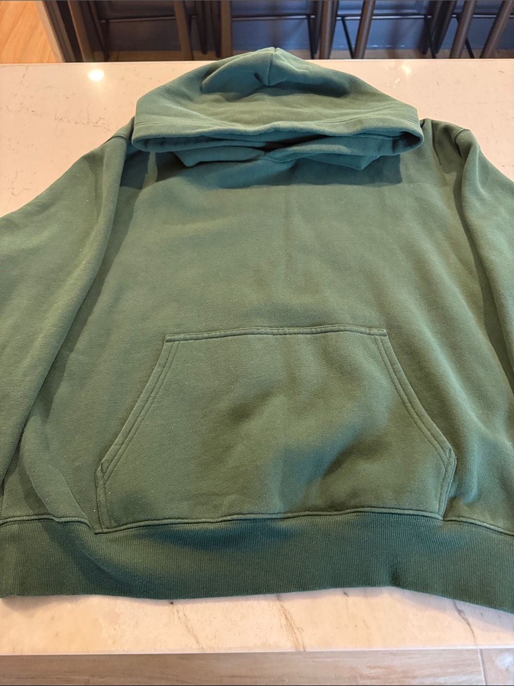 Aritzia Womens Hoodie in Scarab Green